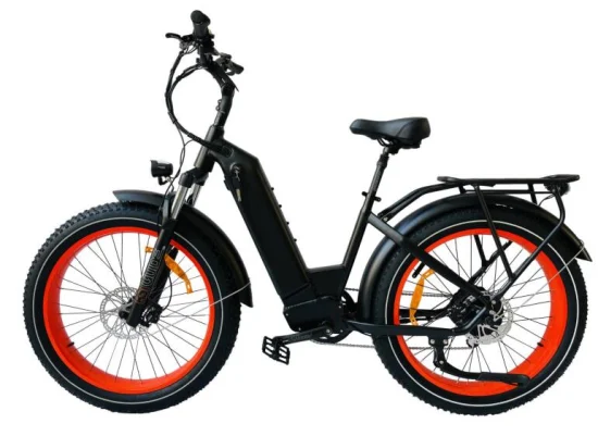 Queene 전기 산악 자전거 E MTB 배터리 전기 자전거 오프로드 지방 타이어 전기 자전거 1000W Ebike