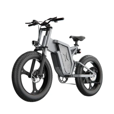 40-120km Ebike 공장 가격 1000W 숨겨진 배터리가 장착된 20인치 지방 타이어 전기 자전거